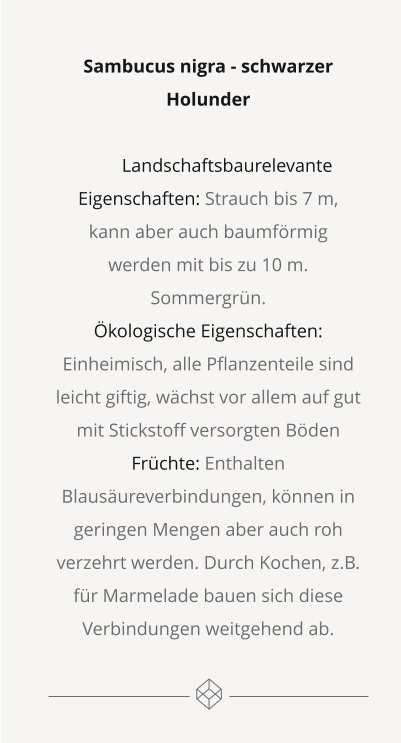 Sambucus nigra - schwarzer Holunder  Landschaftsbaurelevante Eigenschaften: Strauch bis 7 m, kann aber auch baumförmig werden mit bis zu 10 m. Sommergrün. Ökologische Eigenschaften: Einheimisch, alle Pflanzenteile sind leicht giftig, wächst vor allem auf gut mit Stickstoff versorgten Böden Früchte: Enthalten Blausäureverbindungen, können in geringen Mengen aber auch roh verzehrt werden. Durch Kochen, z.B. für Marmelade bauen sich diese Verbindungen weitgehend ab.