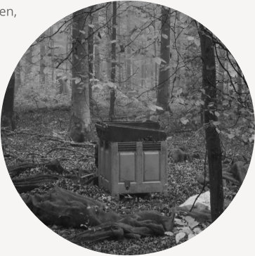 Bucheckern-Ernte mit einfachem Reinigungsgerät